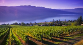 Run in Kelowna British Columbia