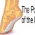 The Power of the Foot