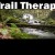 Trail Therapy