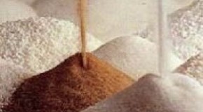 Refined Damnation – A War with Sugar